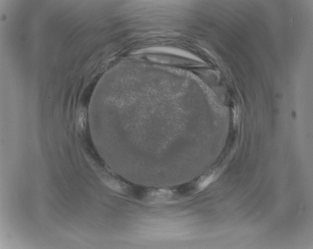 X0000071780125200607282247