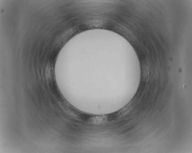 X0000071780126200607282247