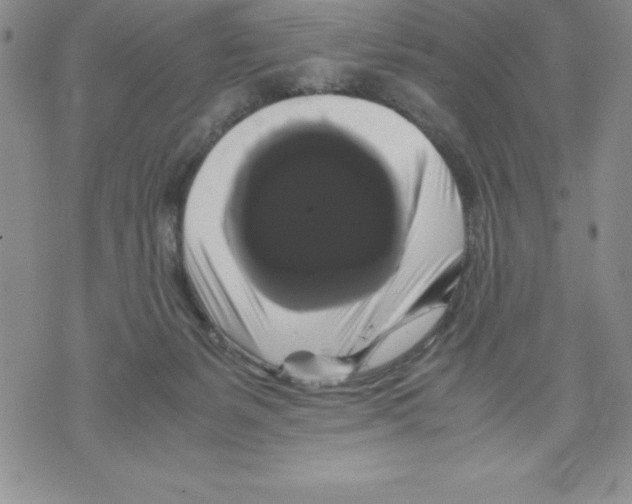 X0000071780127200607282247