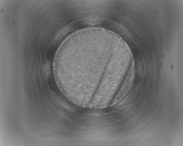 X0000071780128200607282247