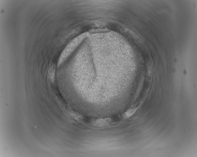 X0000071780129200607282247