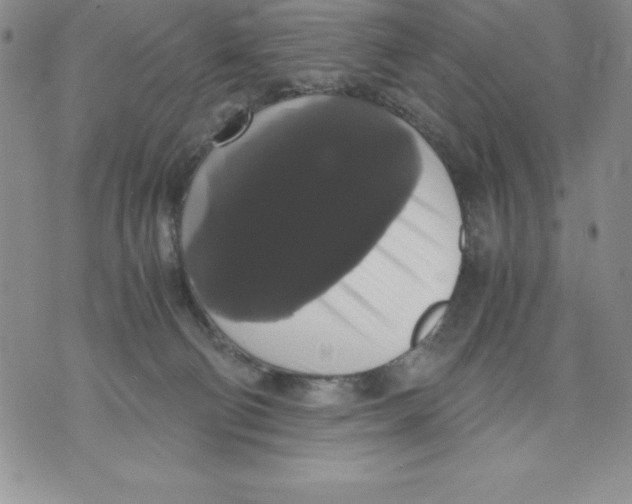 X0000071780130200607282247