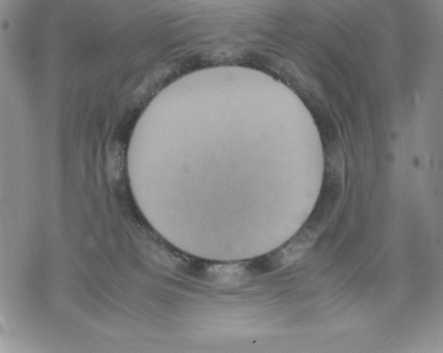 X0000071780133200607282247