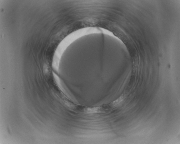 X0000071780134200607282247