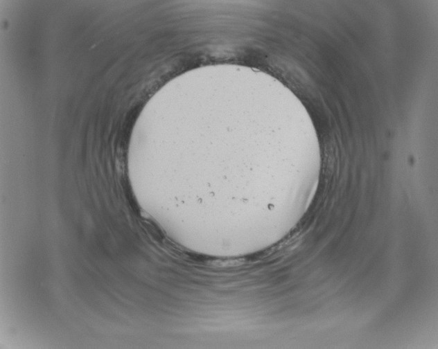 X0000071780135200607282247