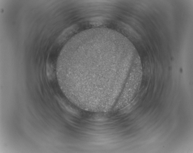 X0000071780136200607282247