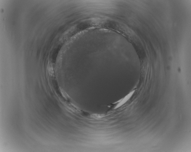 X0000071780137200607282247