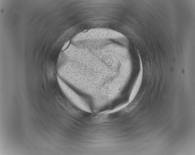 X0000071780138200607282247