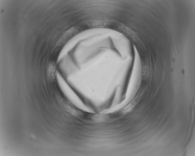 X0000071780142200607282247