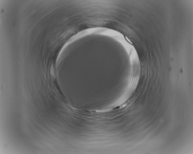 X0000071780143200607282247