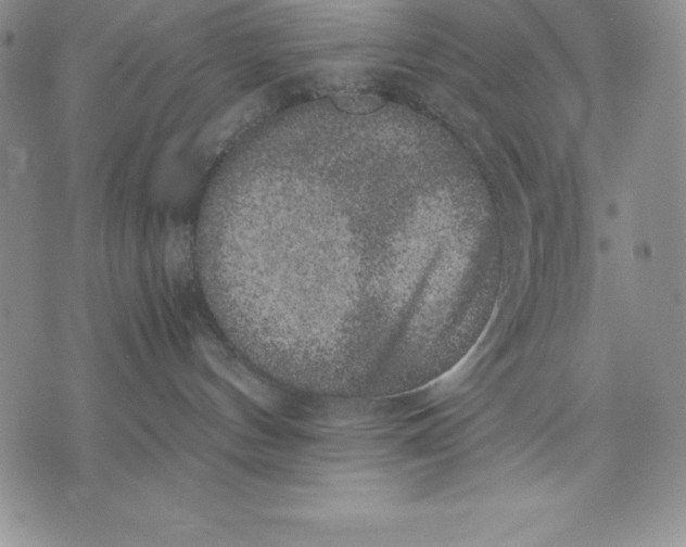 X0000071780144200607282247