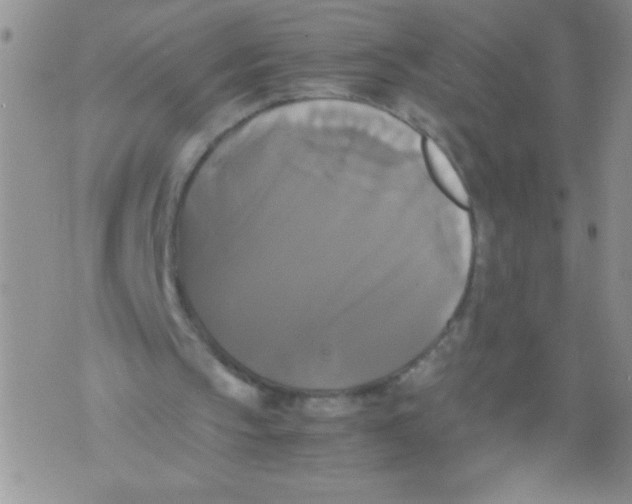 X0000071780145200607282246