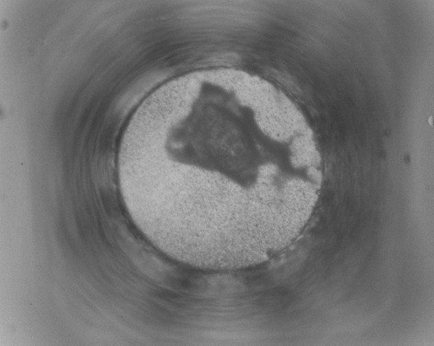 X0000071780146200607282246