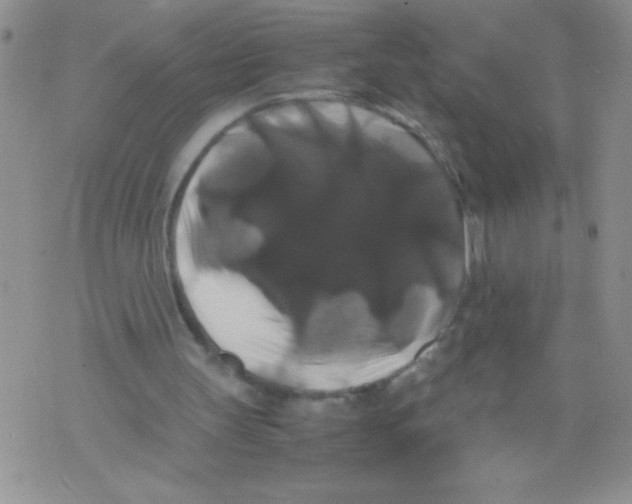 X0000071780147200607282246