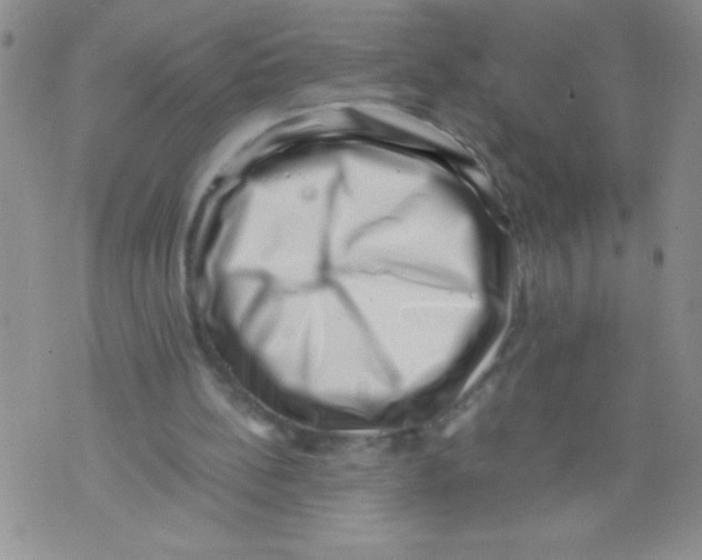 X0000071780148200607282246