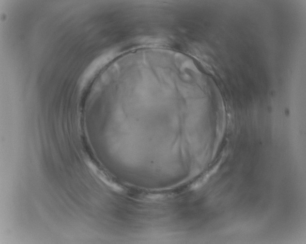 X0000071780149200607282246