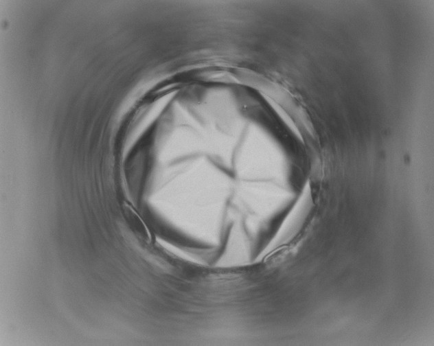 X0000071780150200607282246