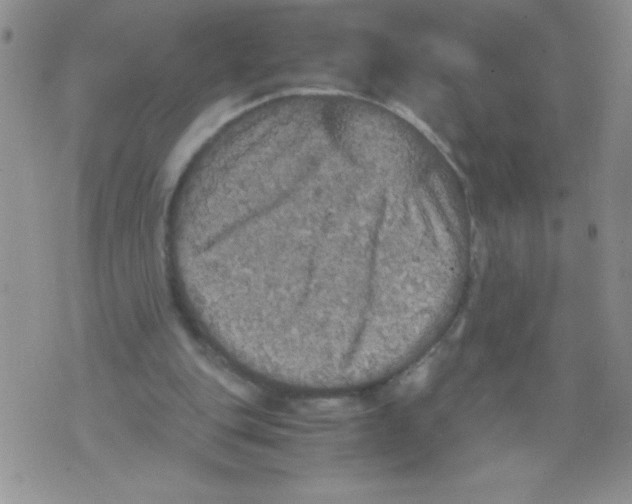 X0000071780151200607282246