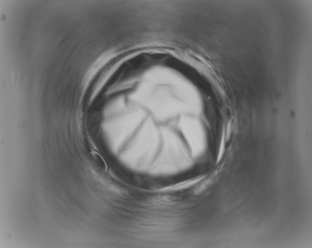 X0000071780152200607282246