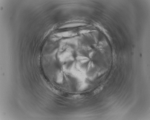 X0000071780153200607282246