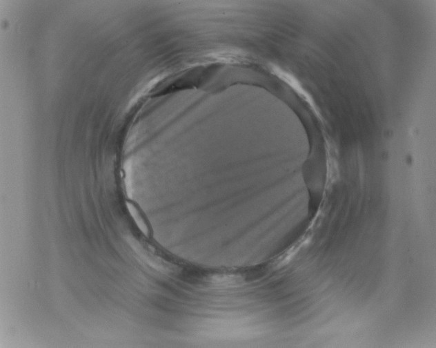 X0000071780154200607282246