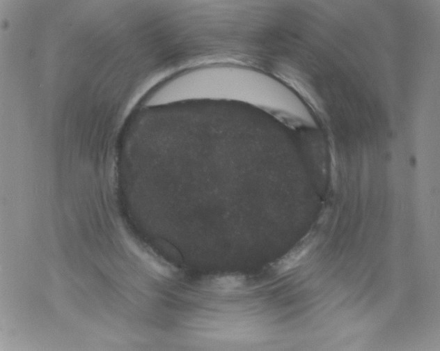 X0000071780156200607282247