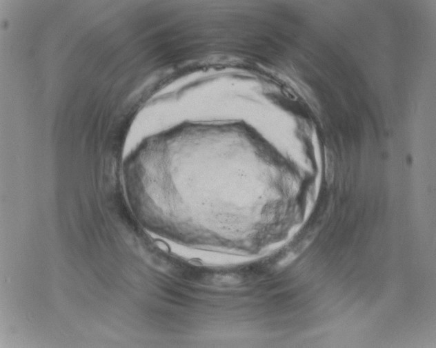 X0000071780157200607282247