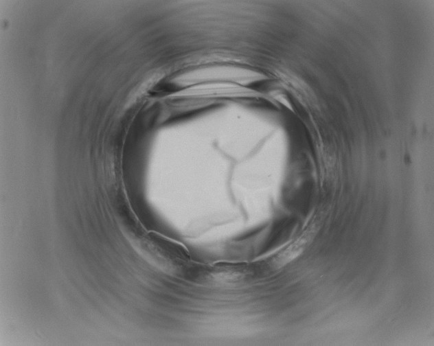 X0000071780158200607282247