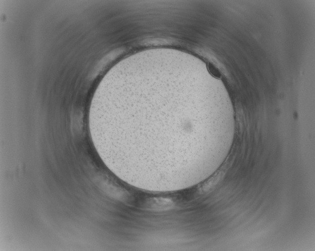 X0000071780159200607282247