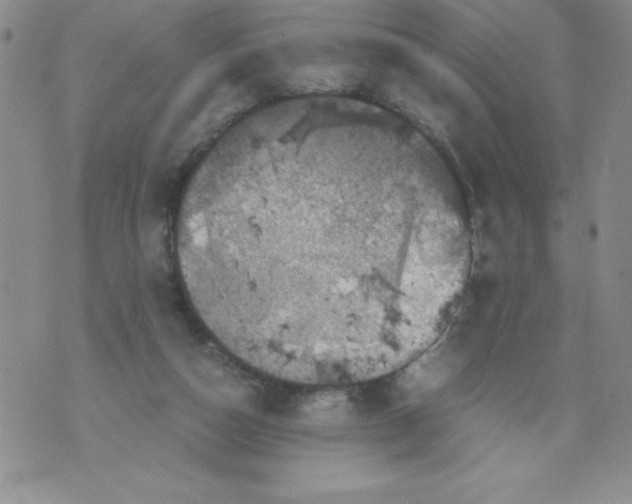 X0000071780162200607282247