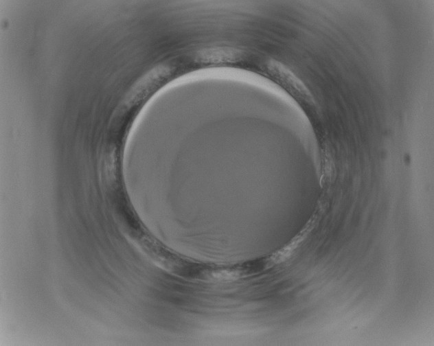 X0000071780163200607282247