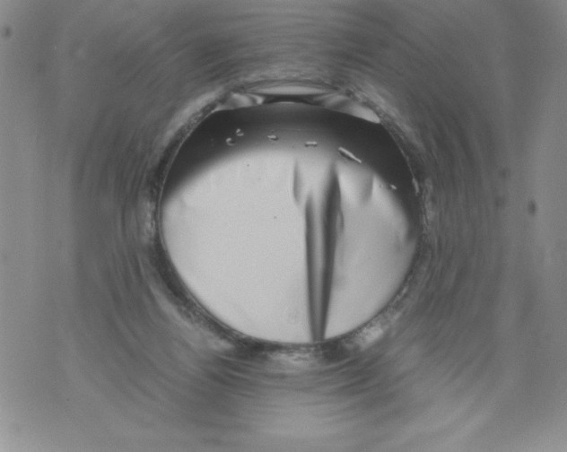 X0000071780164200607282247