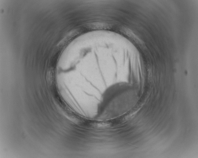 X0000071780165200607282247