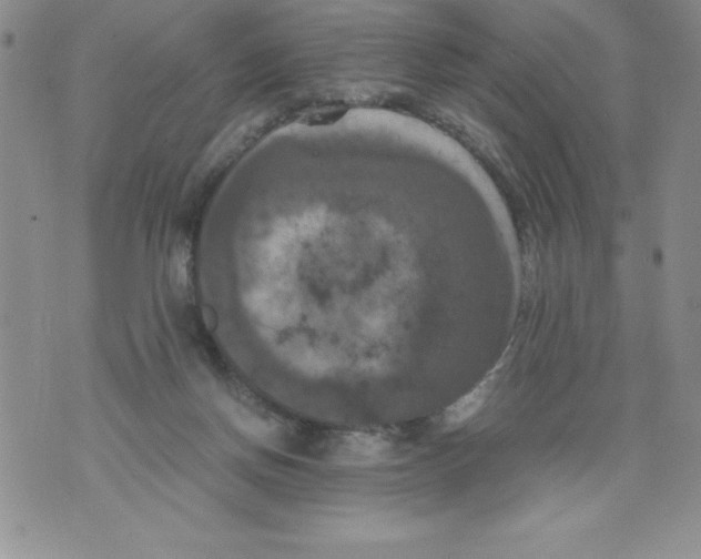 X0000071780166200607282247