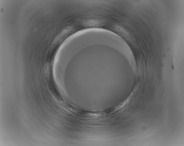 X0000071780167200607282247