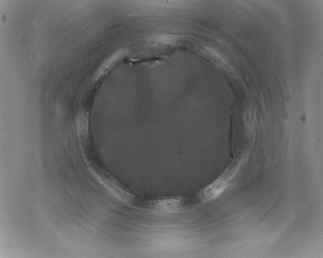 X0000071780168200607282247