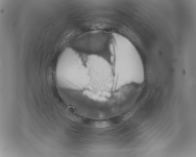 X0000071780169200607282247