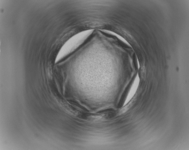 X0000071780170200607282247