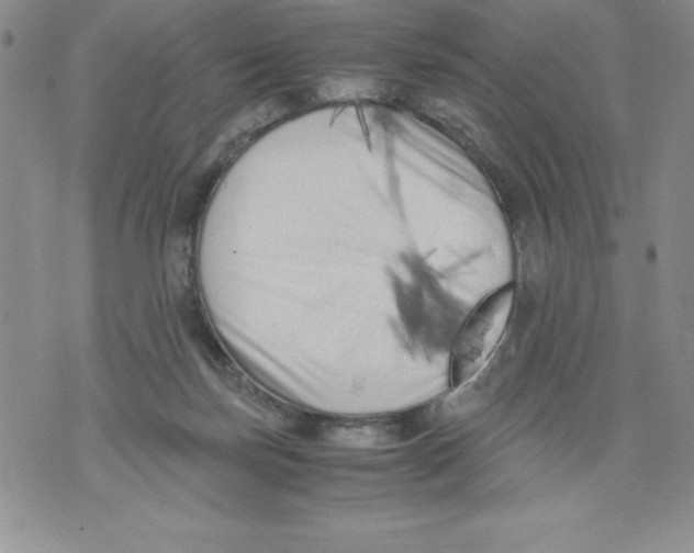 X0000071780171200607282247