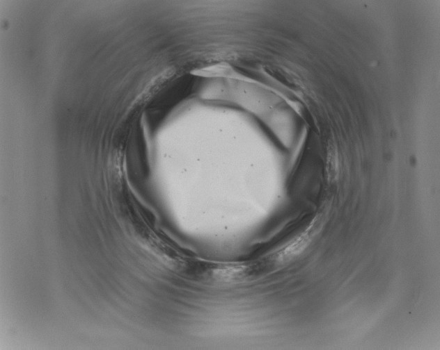 X0000071780172200607282247