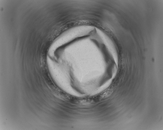 X0000071780173200607282247