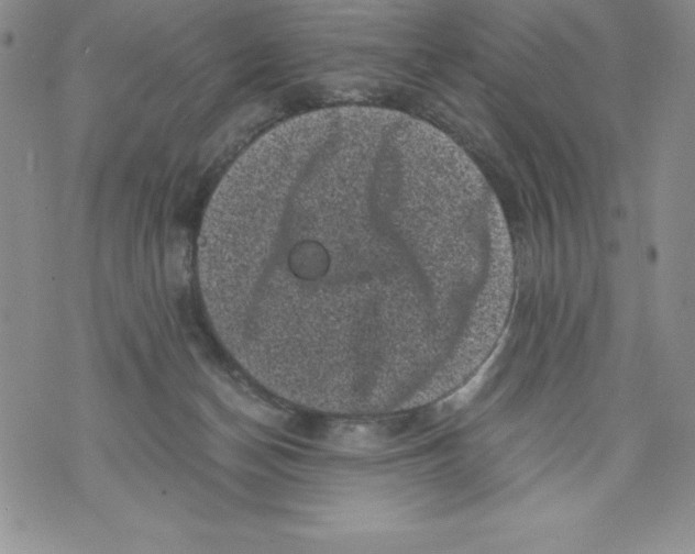 X0000071780174200607282247