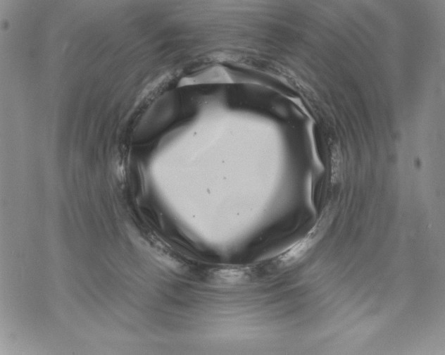 X0000071780176200607282247