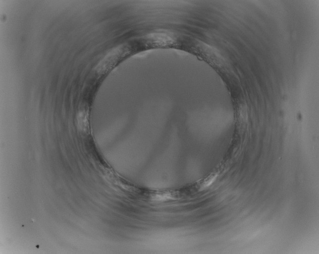 X0000071780177200607282247