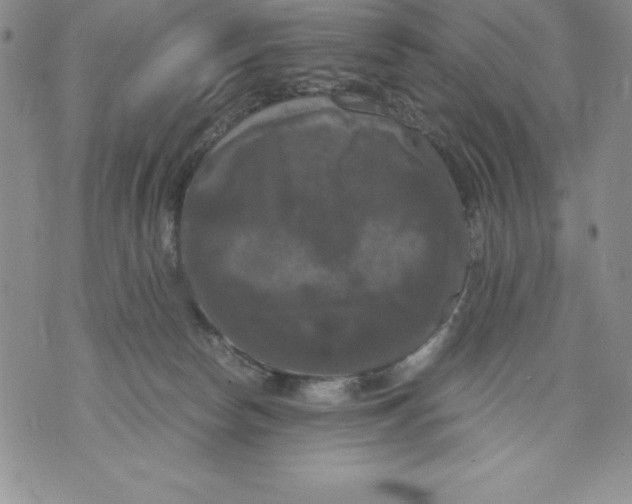 X0000071780178200607282247