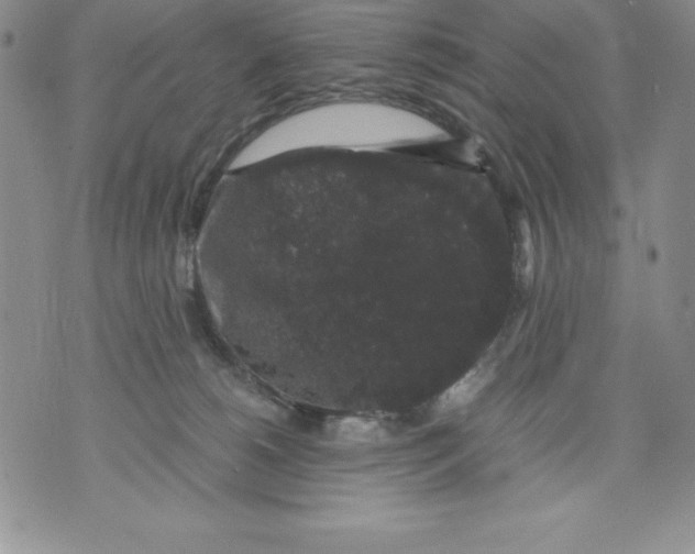 X0000071780180200607282247