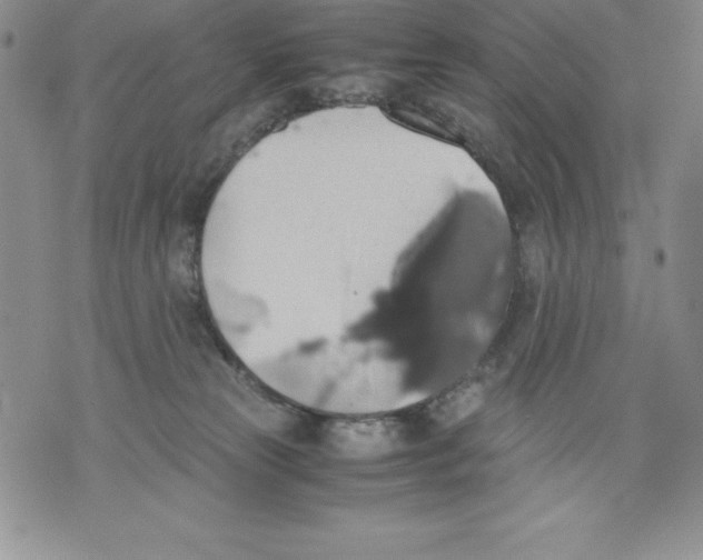 X0000071780181200607282247