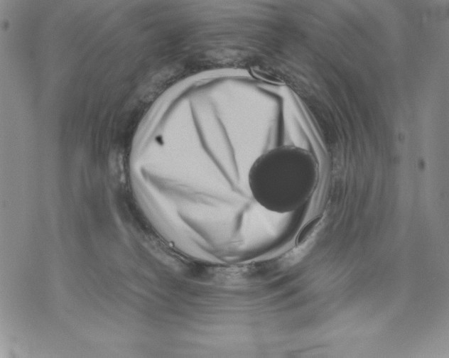 X0000071780182200607282247