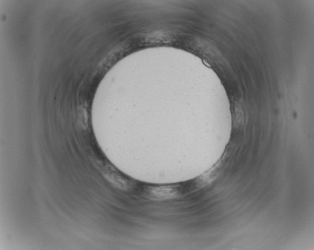 X0000071780183200607282247