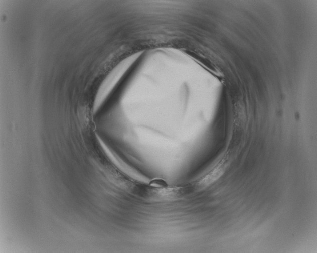 X0000071780184200607282247